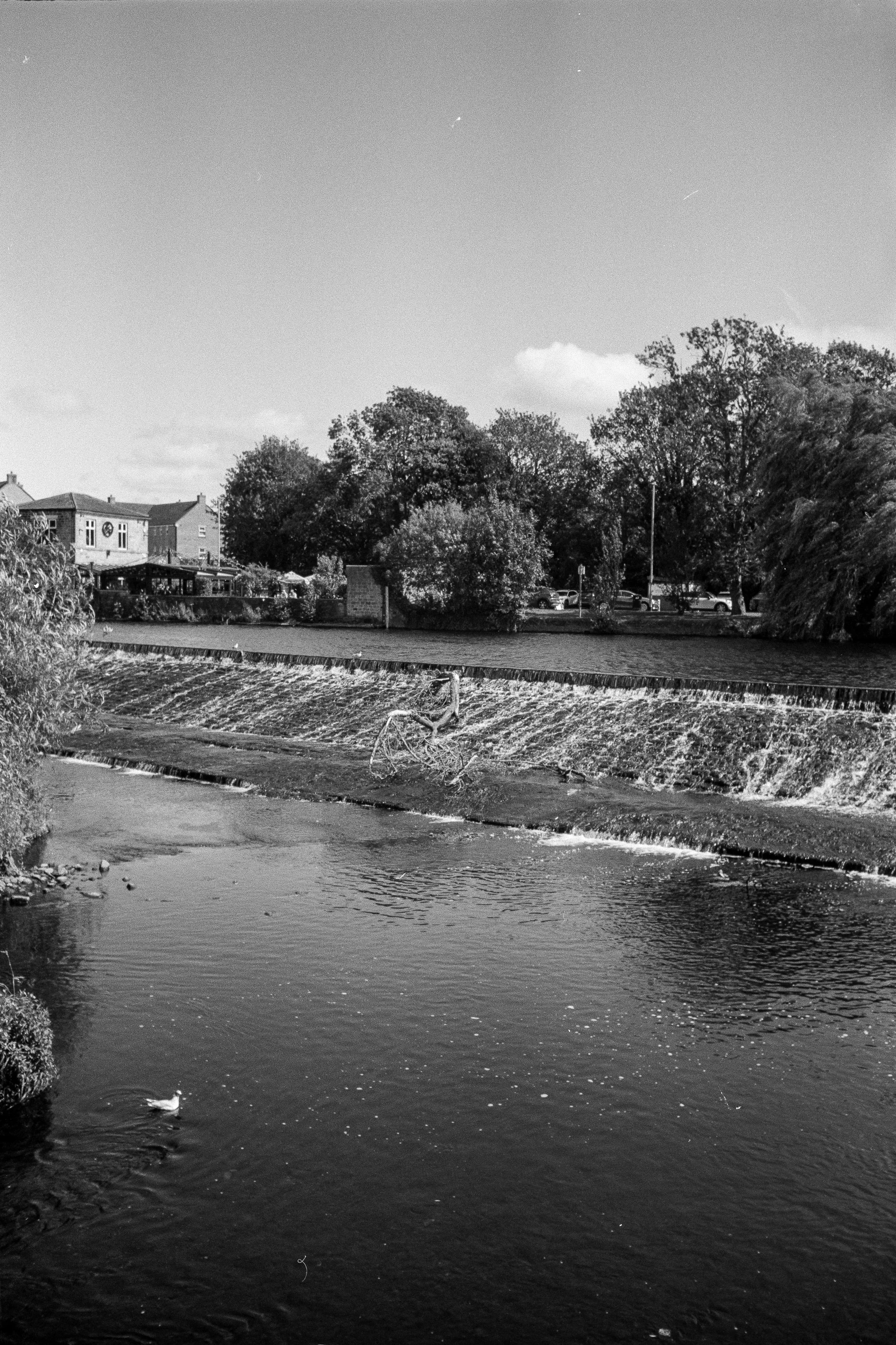 Large Image